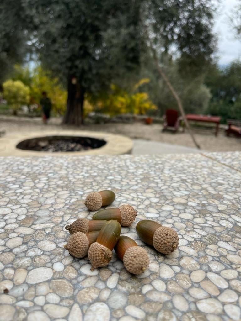 Antalya Bodrum Kayasi Dag Oteli Hasdumen Екстериор снимка
