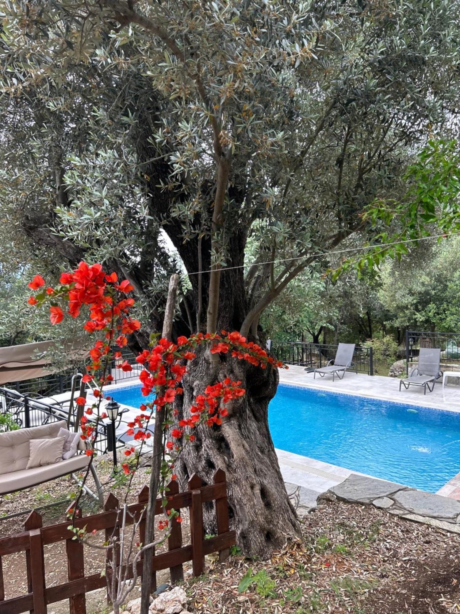 Antalya Bodrum Kayasi Dag Oteli Hasdumen Екстериор снимка